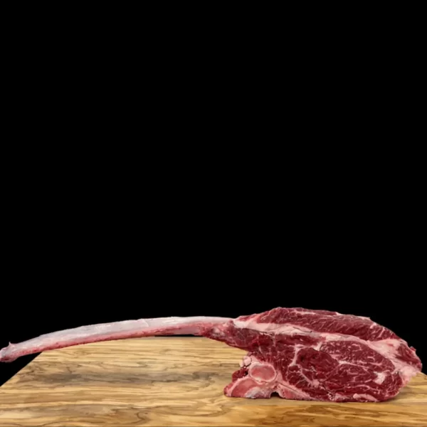Tomahawk di Scottona Simmental Bavarese